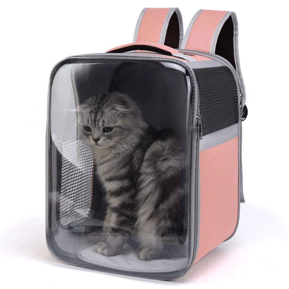 Pink bubble backpack with a fluffy grey cat inside