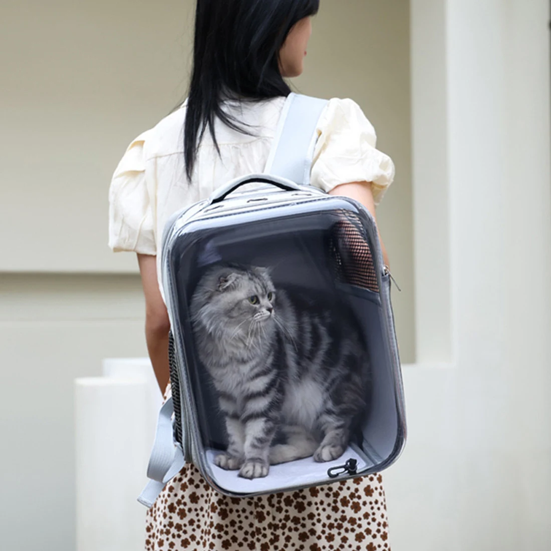 Woman wearing a transparent pet backpack carrier with a grey cat sitting inside.