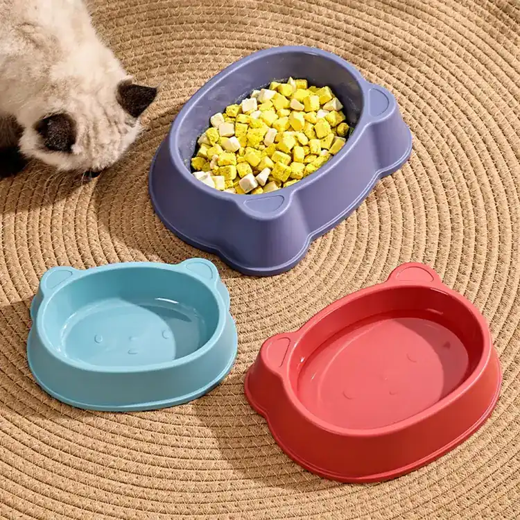 A cat approaches a purple bowl filled with food, positioned next to matching blue and red empty bowls on a woven mat.