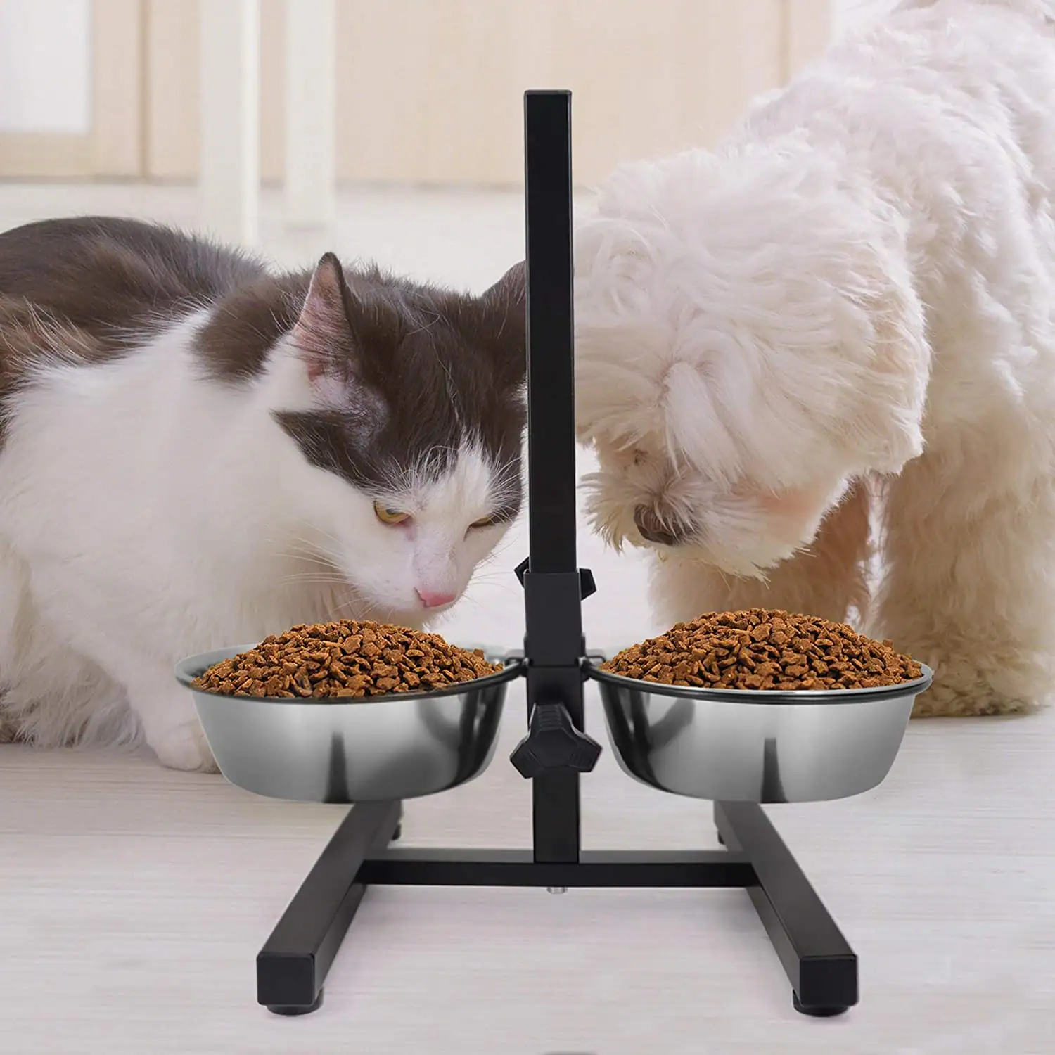 A cat and a dog eating from a raised double stainless steel bowl feeder.