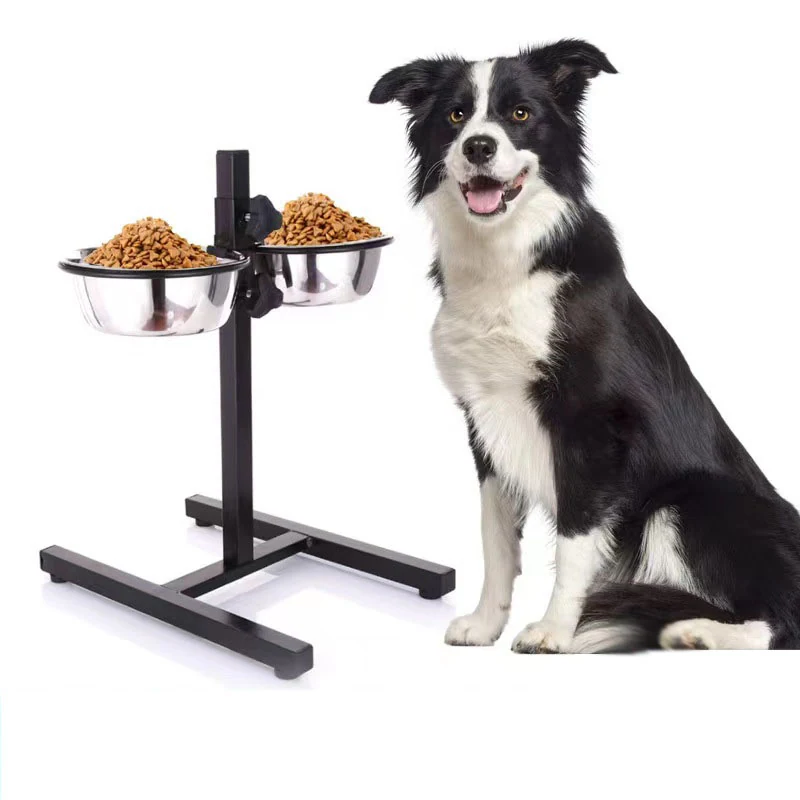 A black and white dog sits next to a raised, dual-bowl dog feeder filled with kibble.