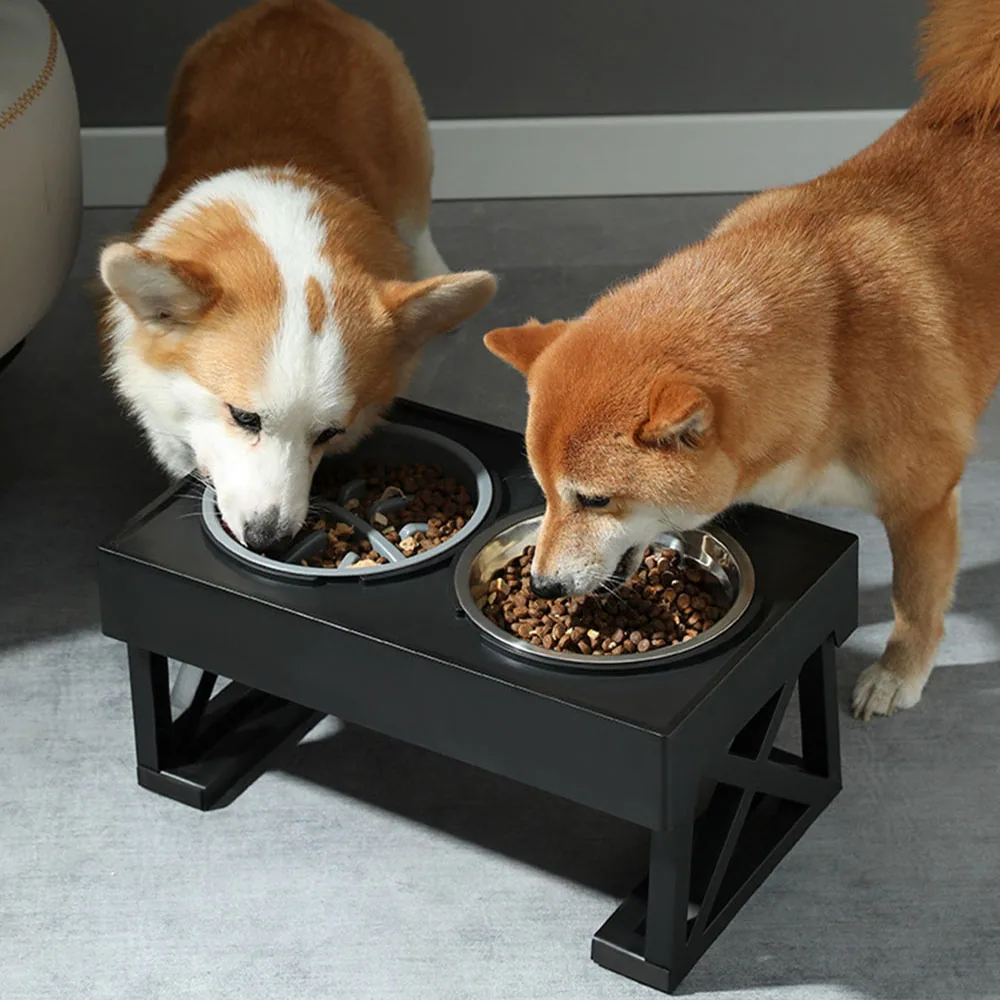 Two dogs eating kibble from stainless steel bowls set in a raised black stand
