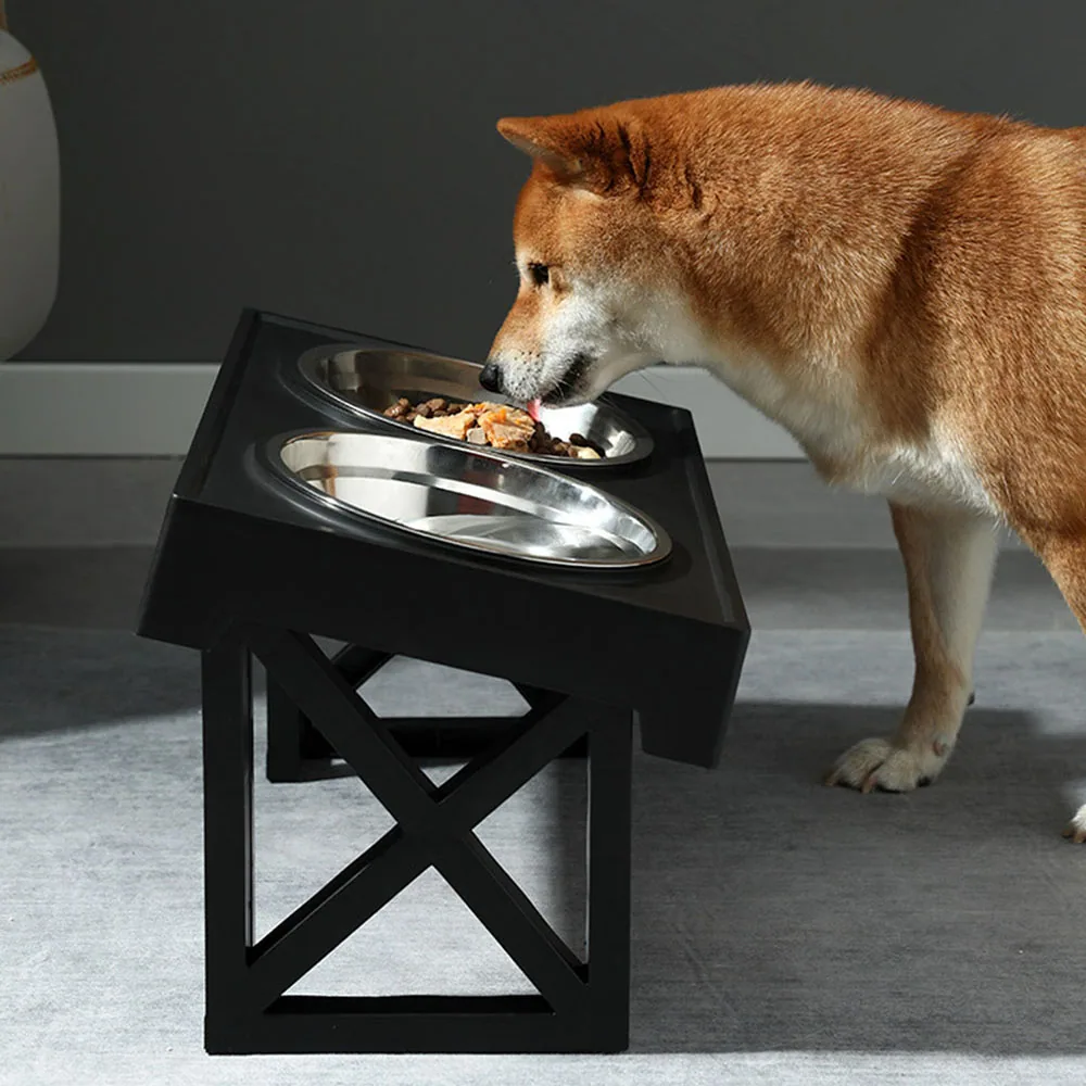 A Shiba Inu dog eating from a black raised dog bowl stand with two stainless steel bowls.