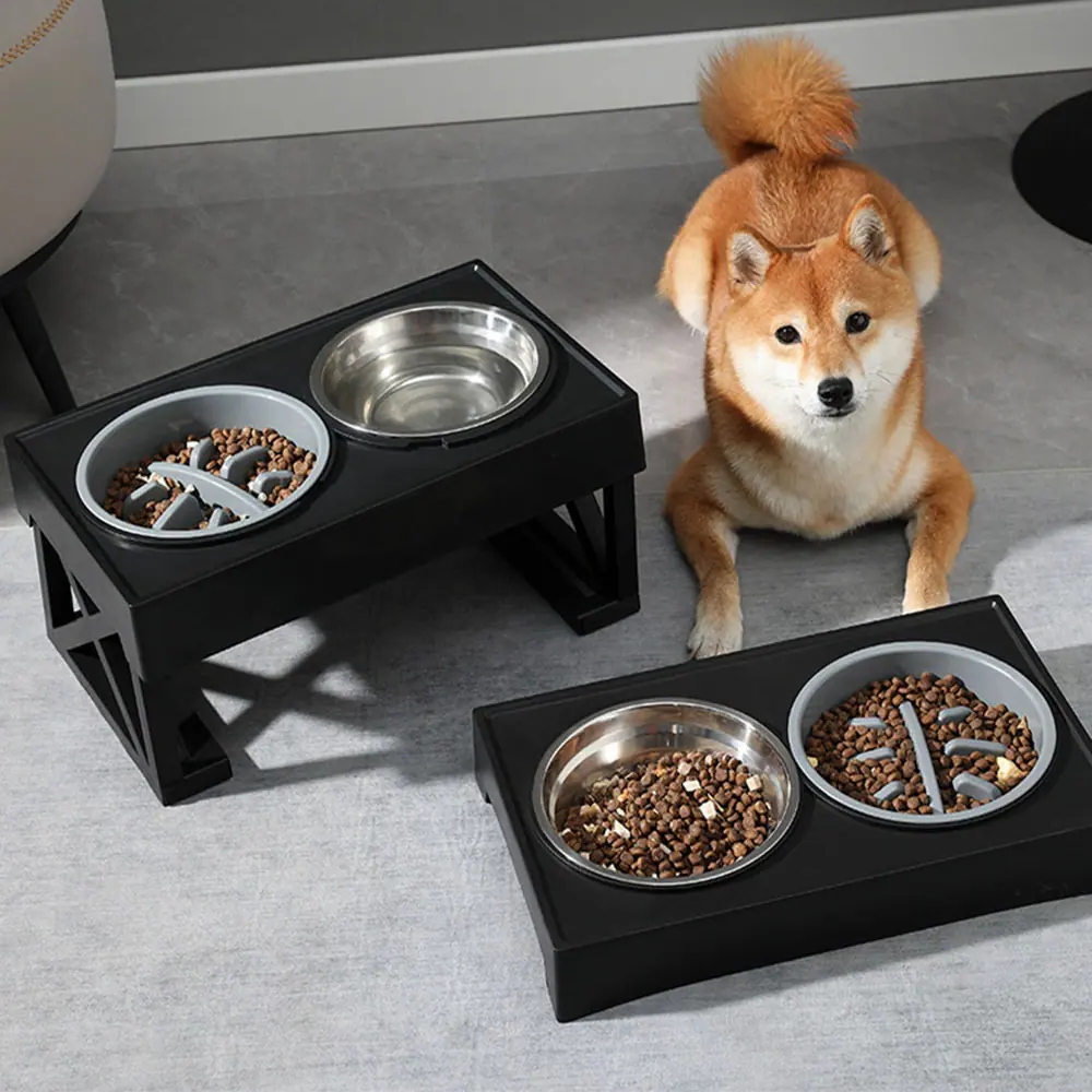 Two black raised pet feeder stands with stainless steel bowls containing dry kibble, with a Shiba Inu dog sitting behind them.