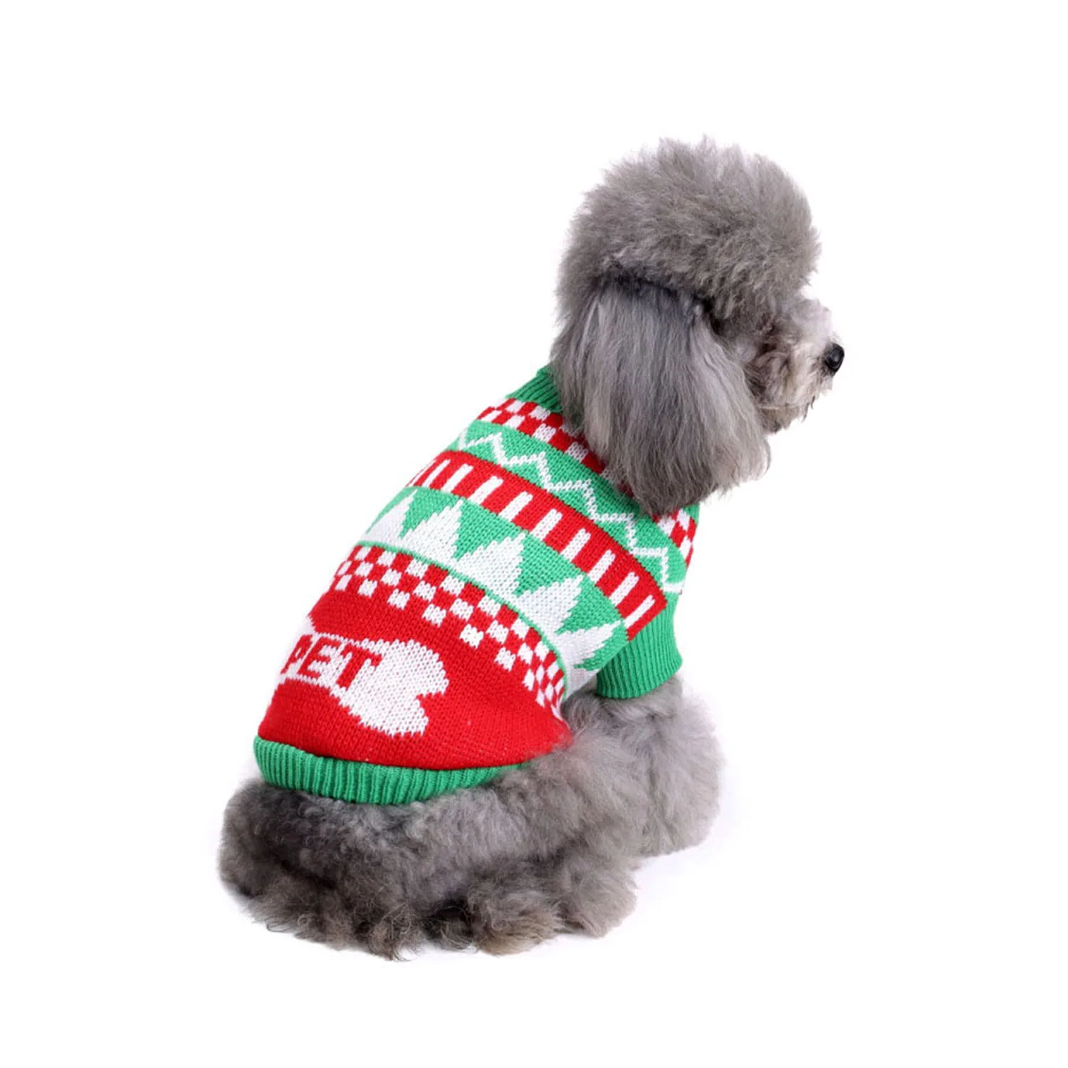 Grey poodle wearing a red, green, and white knitted Christmas sweater with a bone pattern.