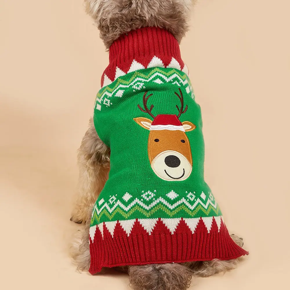 Dog wearing a green Christmas sweater with reindeer design