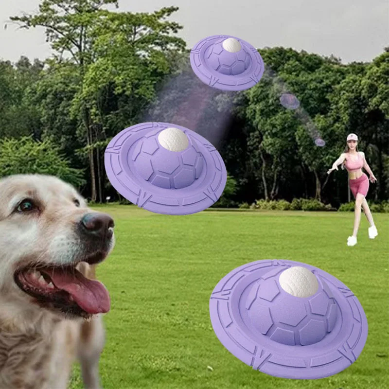 Purple flying saucer shaped dog toy shown in a park setting with a dog and person.