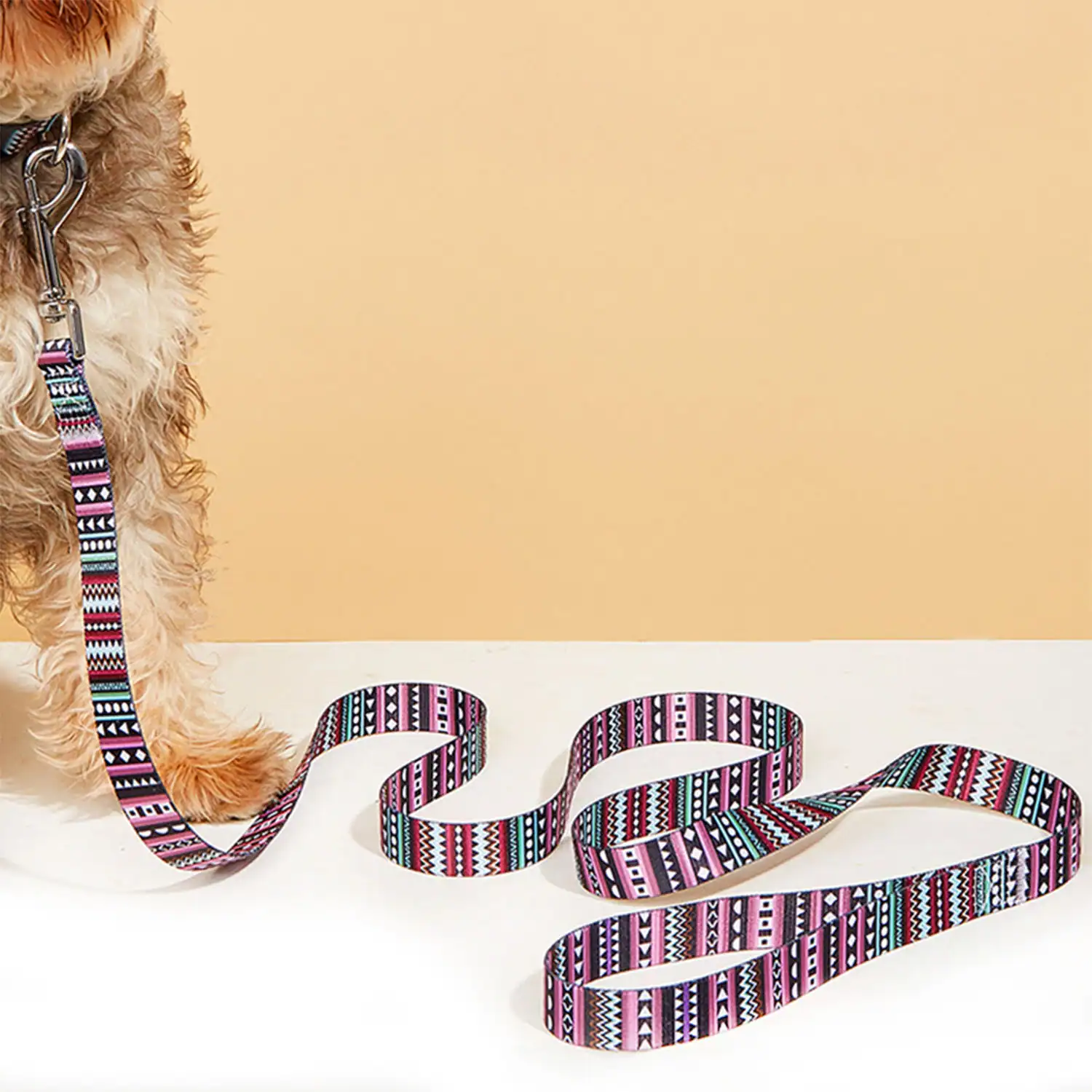 Close up of a dog wearing a colorful geometric patterned leash on a beige background.