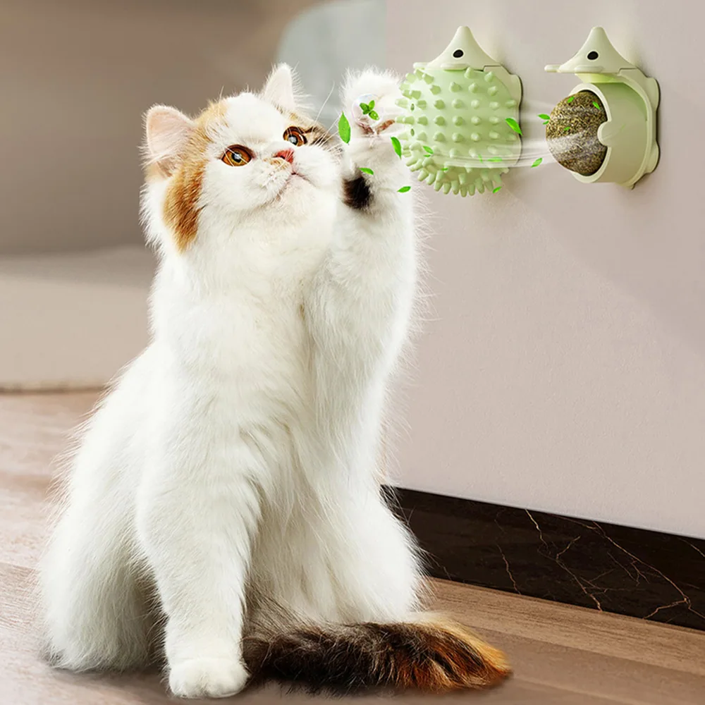 A fluffy cat plays with a green wall-mounted catnip toy.