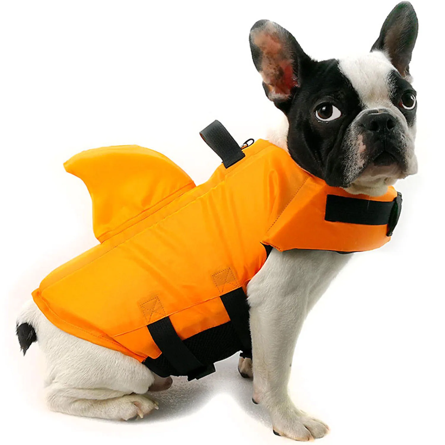 French bulldog wearing an orange pet life jacket with a shark fin on a white background