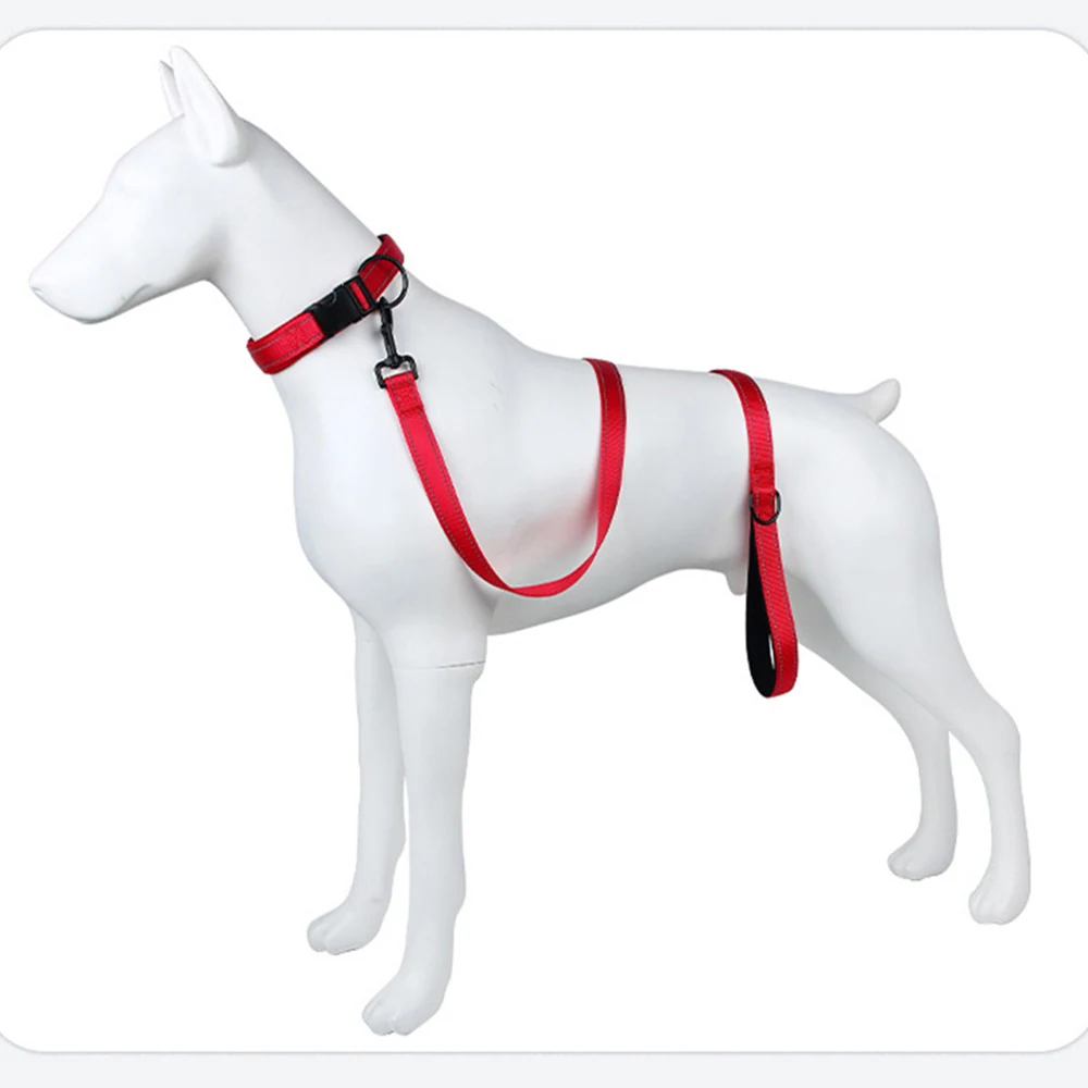 Red dog harness and leash set displayed on a white mannequin