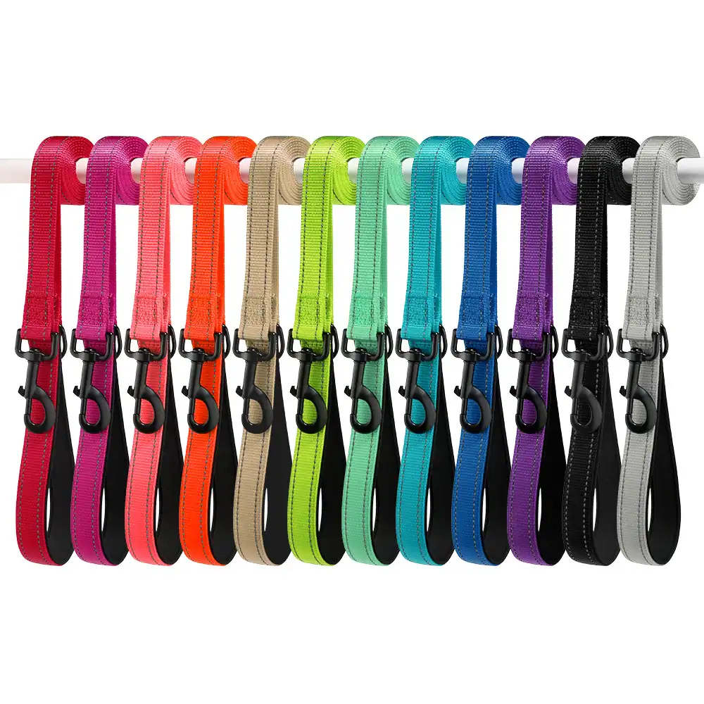 Multiple colorful dog leashes hanging on a white rack