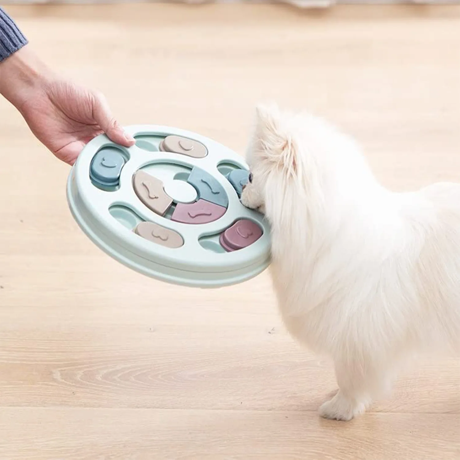 A hand holds a round, mint-green puzzle feeder while a small white dog interacts with it.