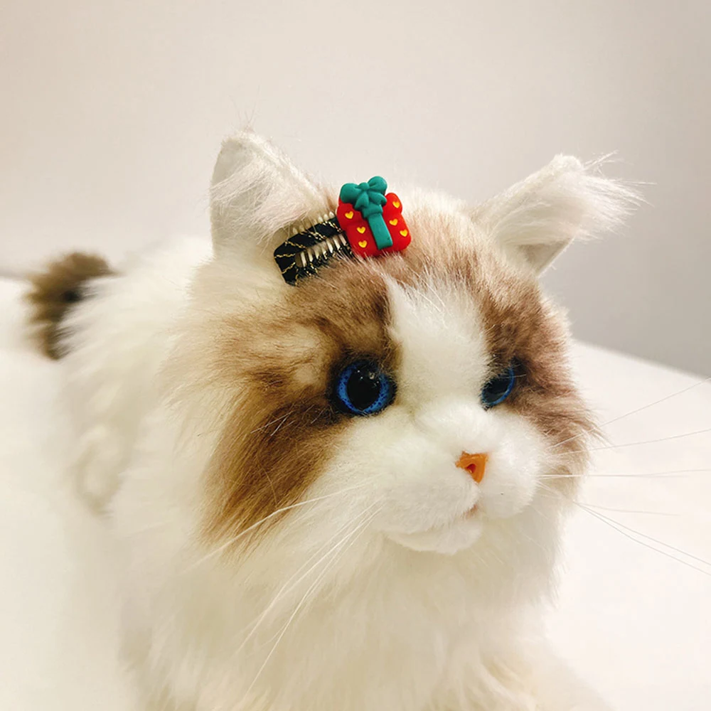 Close up of a fluffy white and brown toy cat with blue eyes wearing a red and green gift box hair clip.