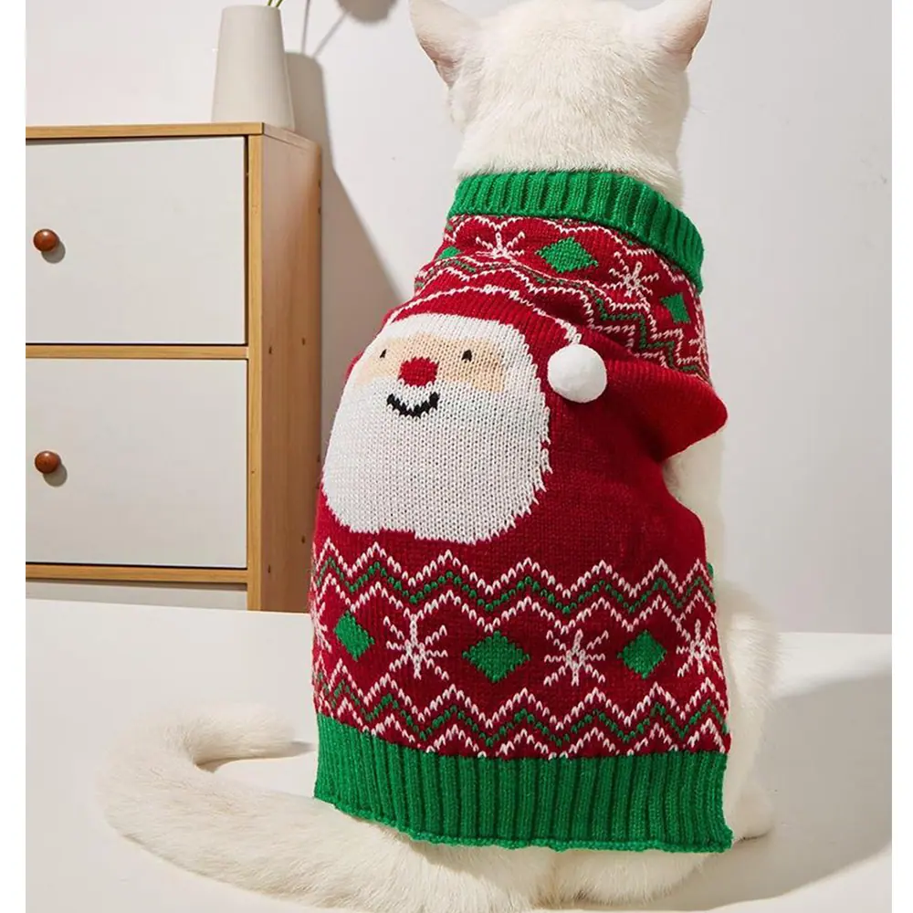 Rear view of a white cat wearing a red and green knitted Santa sweater.