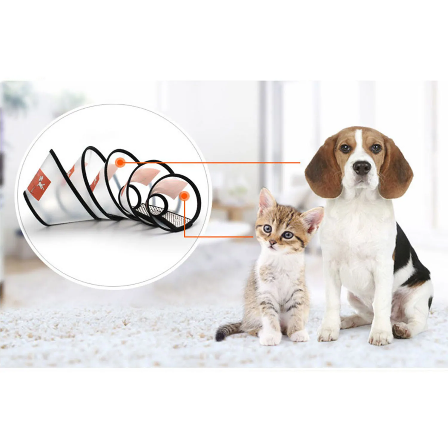A beagle and kitten sitting on a carpet with an inset circle showing a wire pet cone.