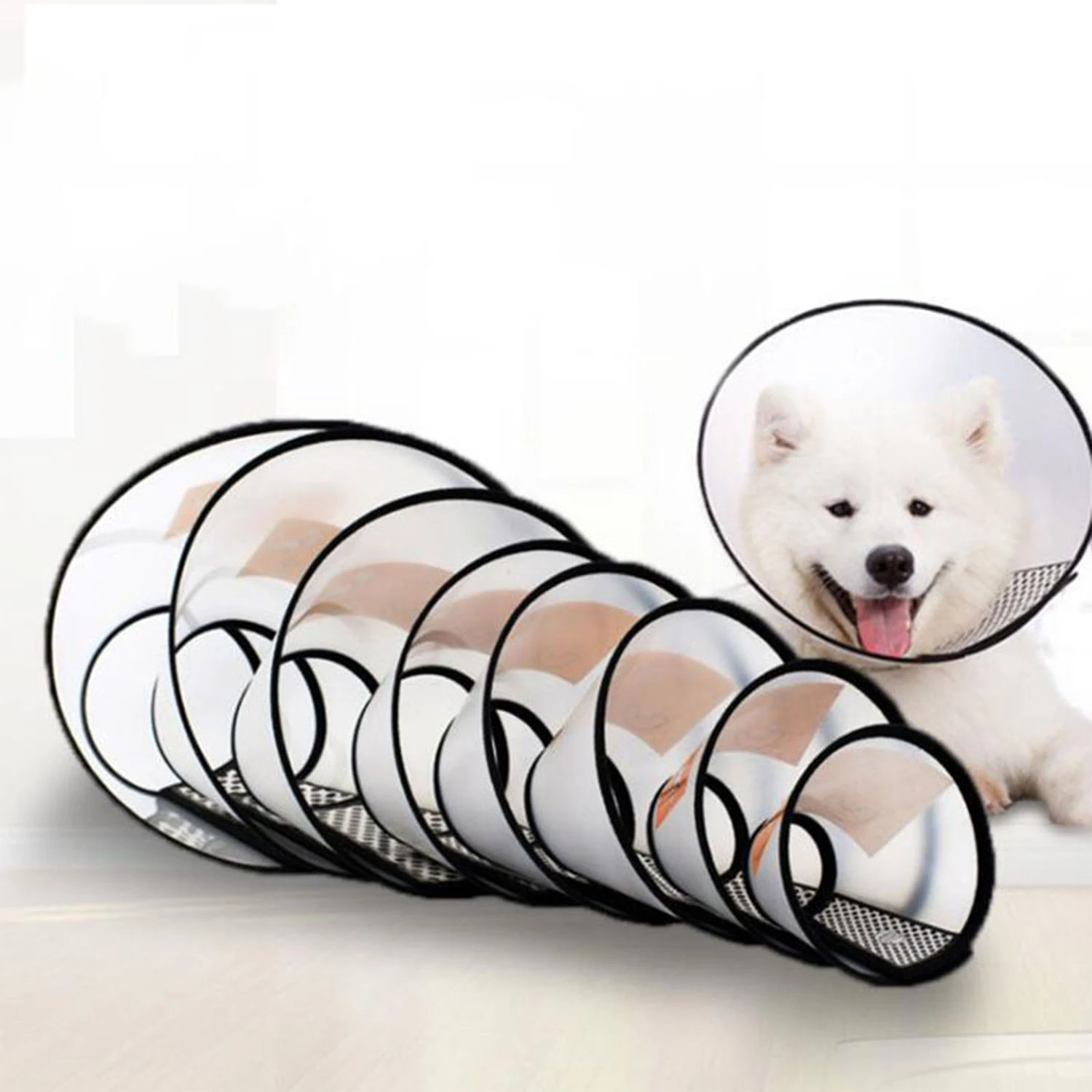 A white dog wearing a protective cone is shown next to a stack of five clear Elizabethan collars.