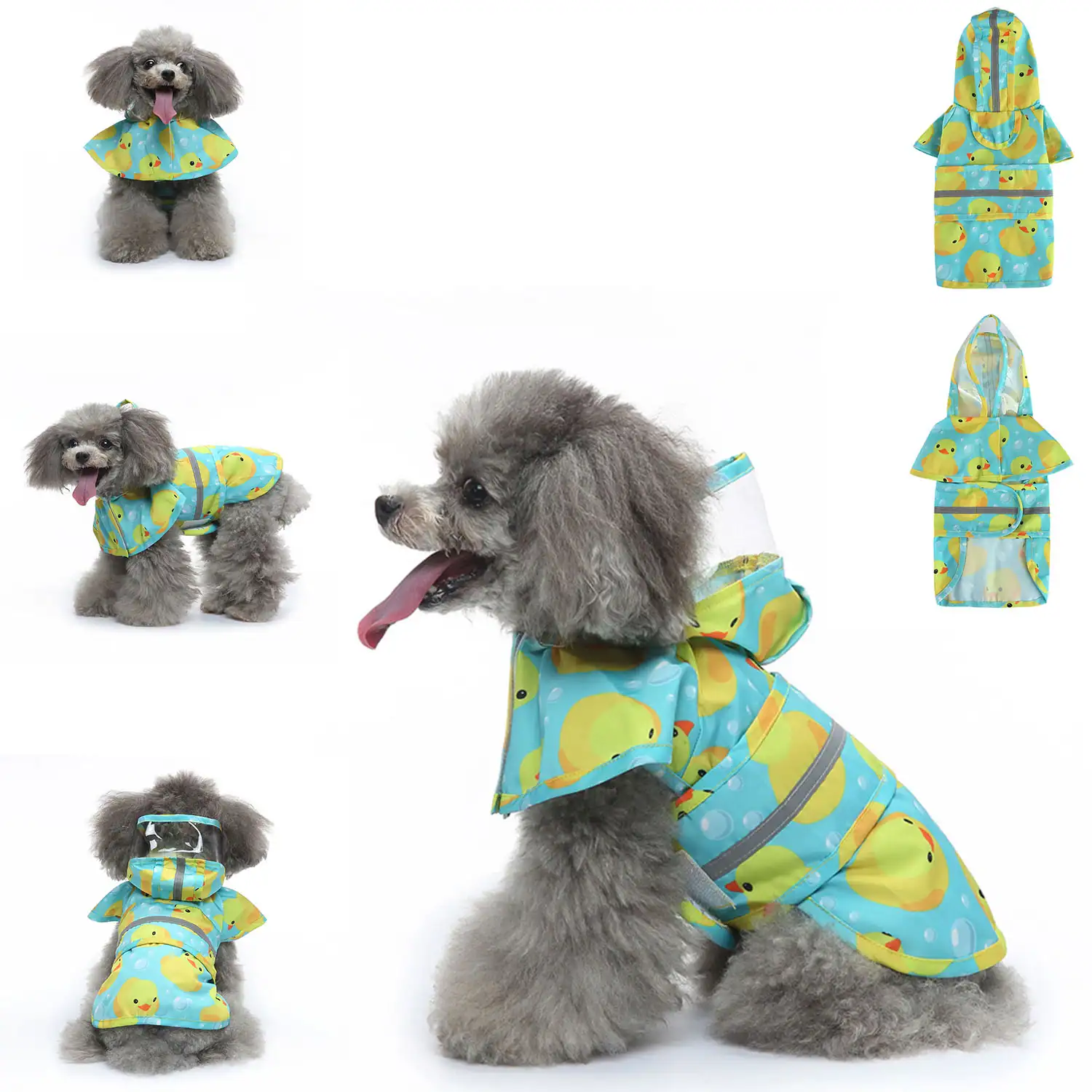 Collage of a grey poodle wearing a yellow and blue patterned raincoat with a hood.