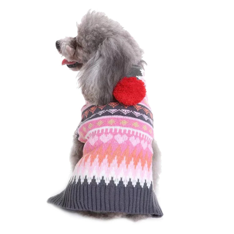 Grey poodle wearing a pink and grey patterned knit sweater with a red pom-pom on the back