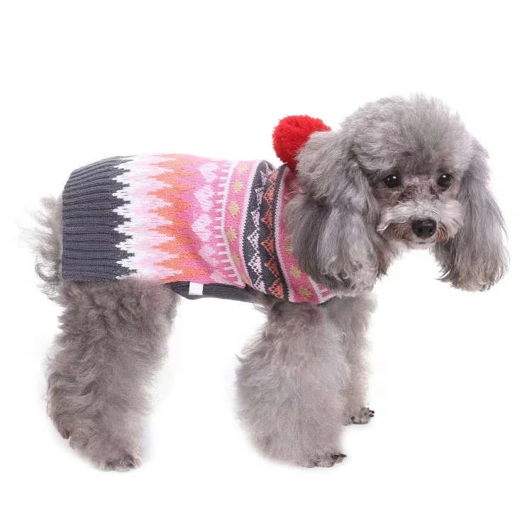 A grey poodle wearing a patterned pink and grey knit sweater with a red pom-pom on its back.