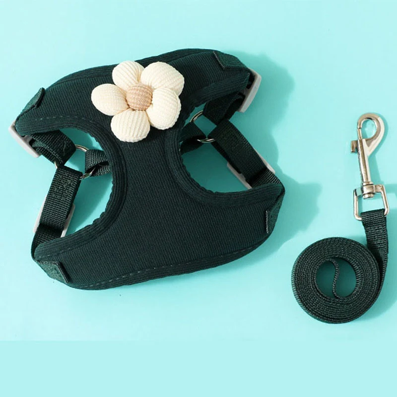 Black pet harness with cream flower decoration and matching coiled leash on teal background