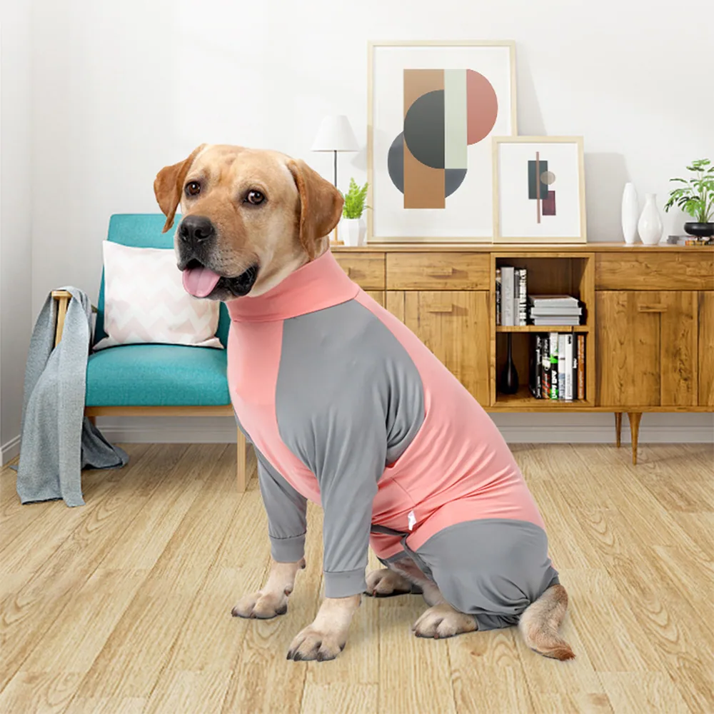 A yellow Labrador Retriever sitting on a wooden floor wearing a pink and grey long-sleeved shirt.