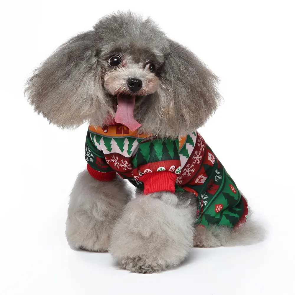 Gray poodle wearing a green Christmas sweater with red trim and festive patterns.