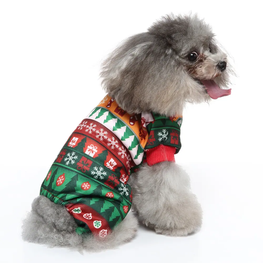 Small grey poodle wearing a festive green and red holiday patterned dog sweater