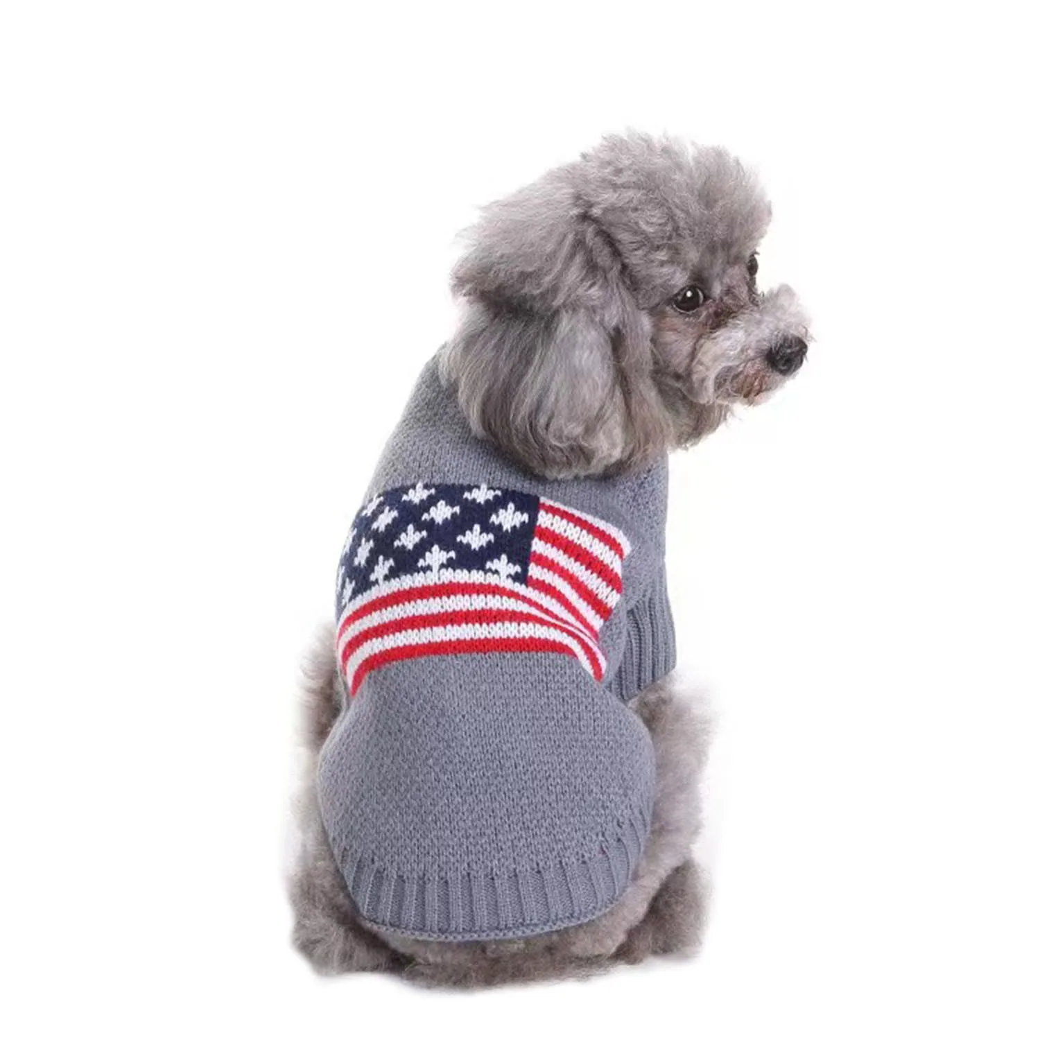 Grey poodle wearing a knitted sweater with an American flag pattern