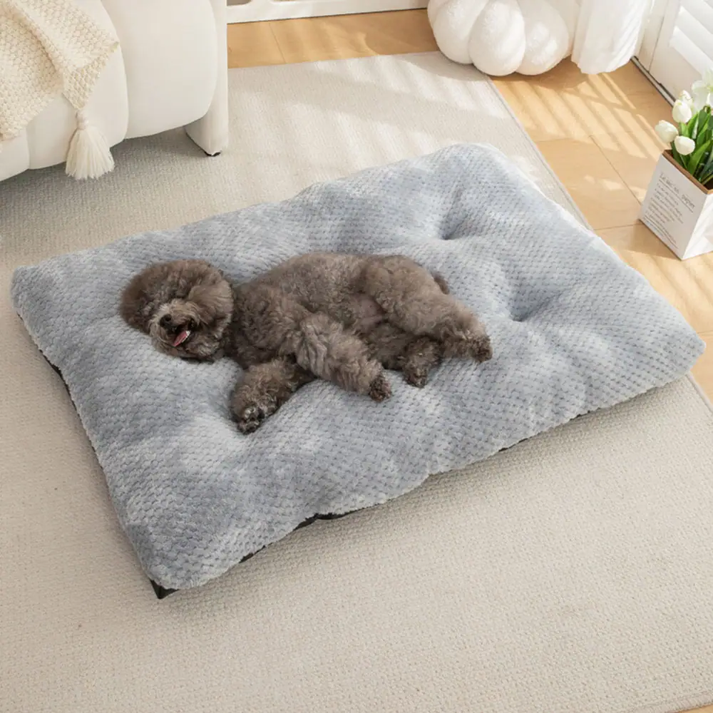 A small gray poodle lying on a gray waffle-textured pet mat on a beige rug.