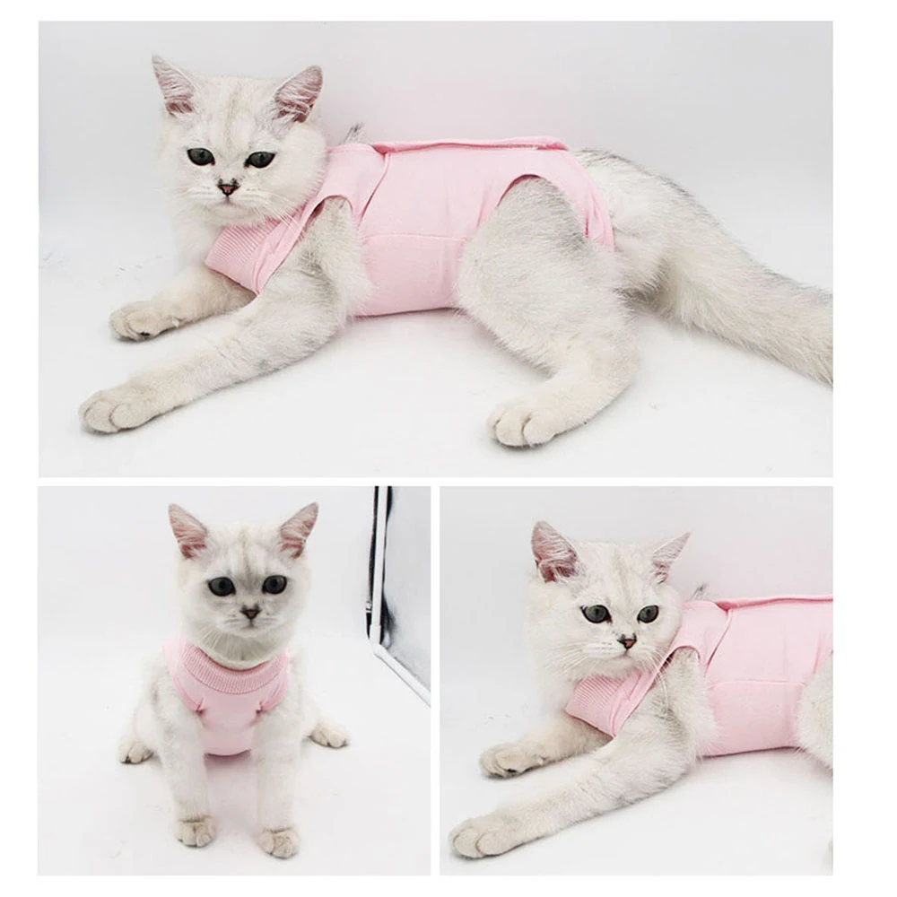 Collage of three photos showing a white cat wearing a pink recovery suit.