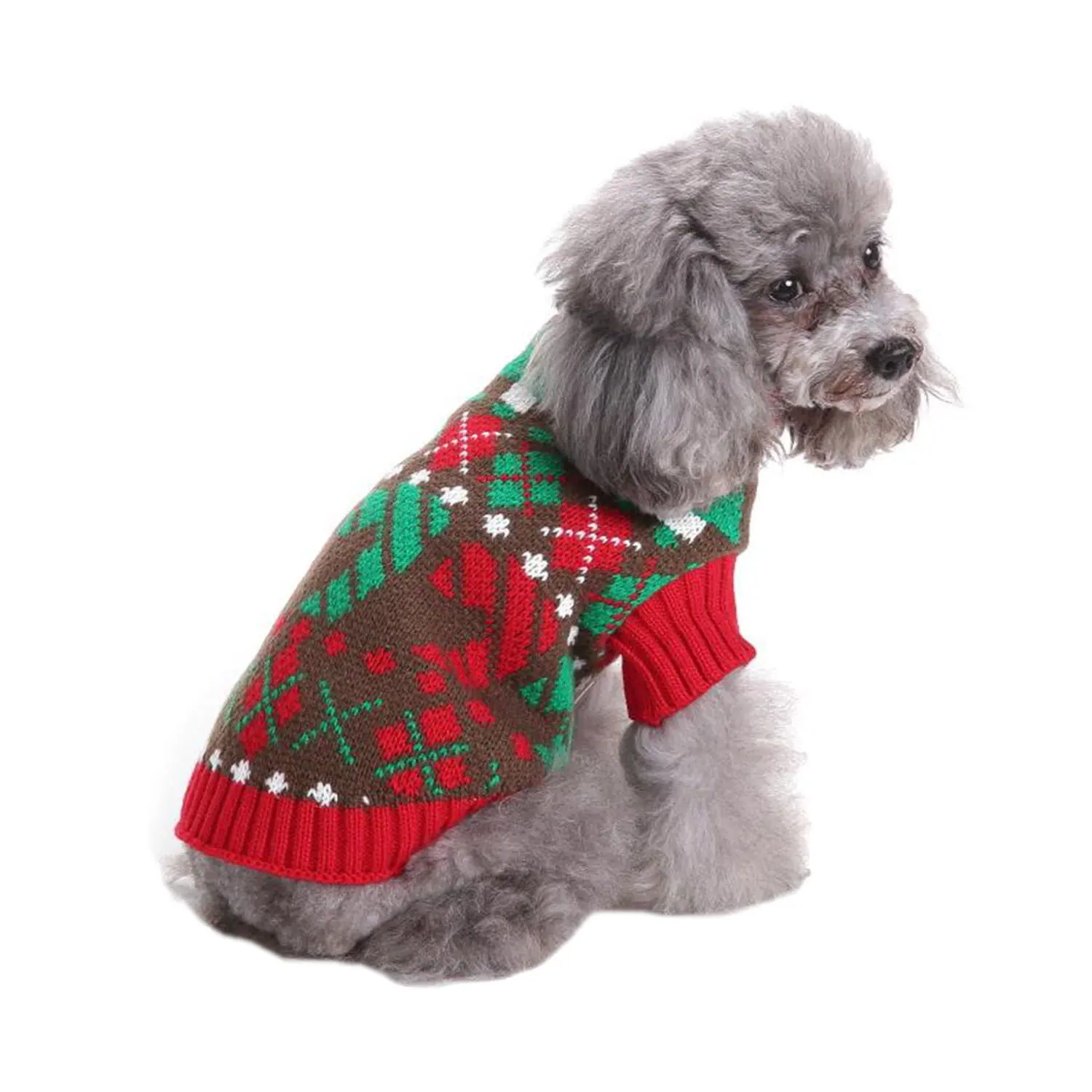 Grey poodle sitting in a brown, red, and green patterned knitted sweater