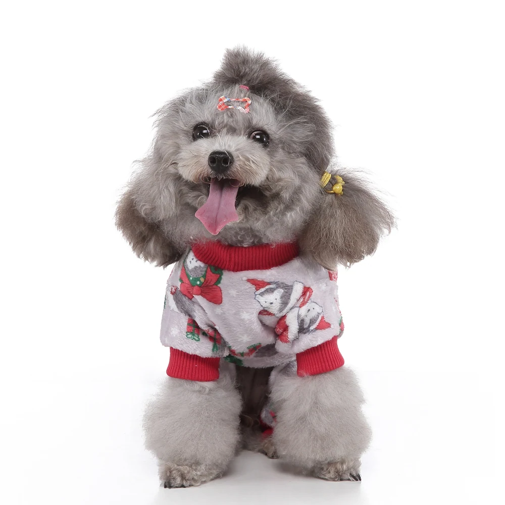 Grey poodle wearing a festive patterned dog sweater with red trim