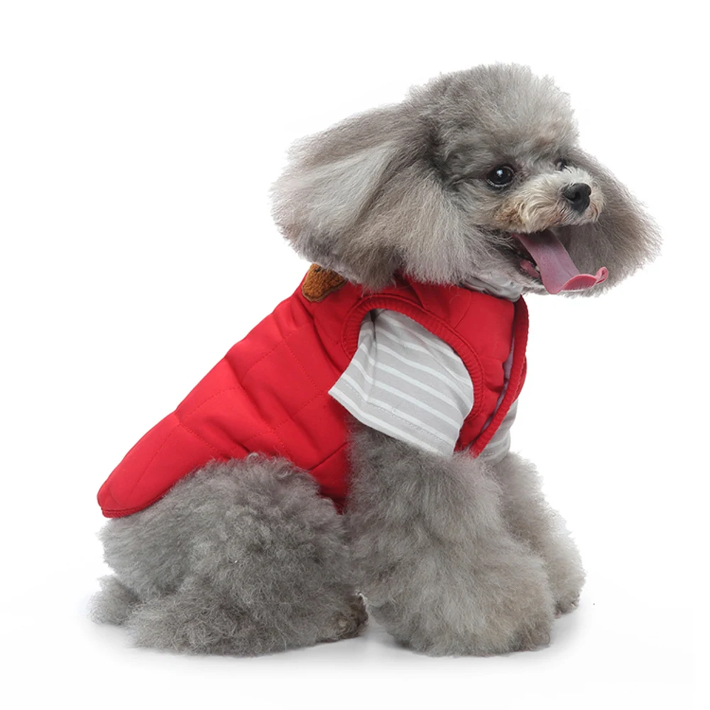 Gray poodle sitting and wearing a red sleeveless vest with white striped sleeves.