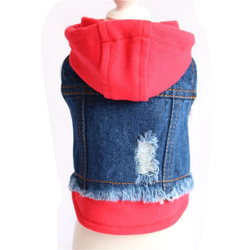 Back view of a small denim jacket with a red hood and frayed hem on a mannequin.
