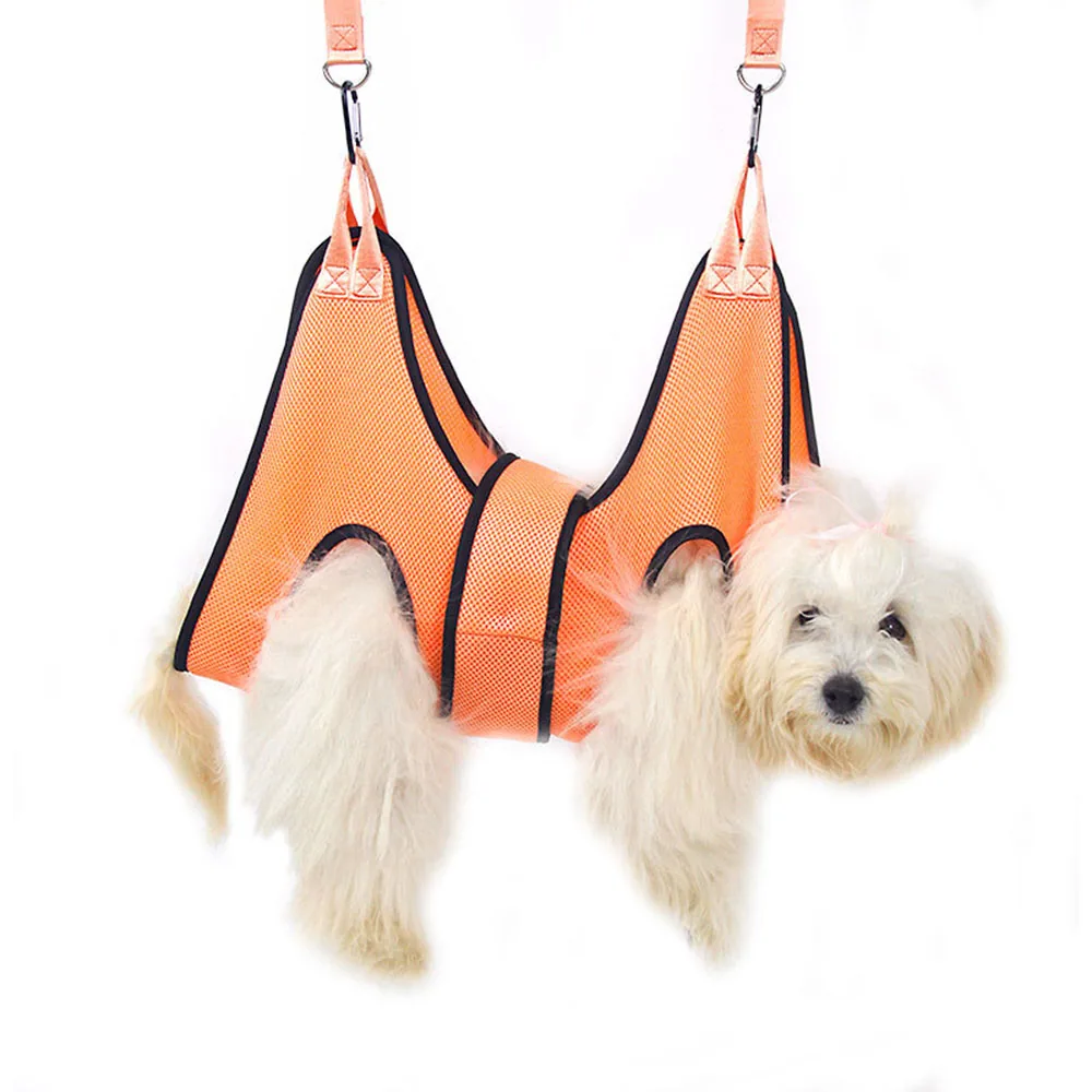 Small white dog wearing an orange mesh support sling suspended by straps