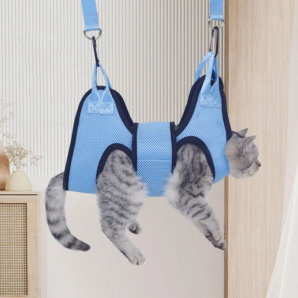 A cat secured in a blue mesh suspension sling hanging from a doorway