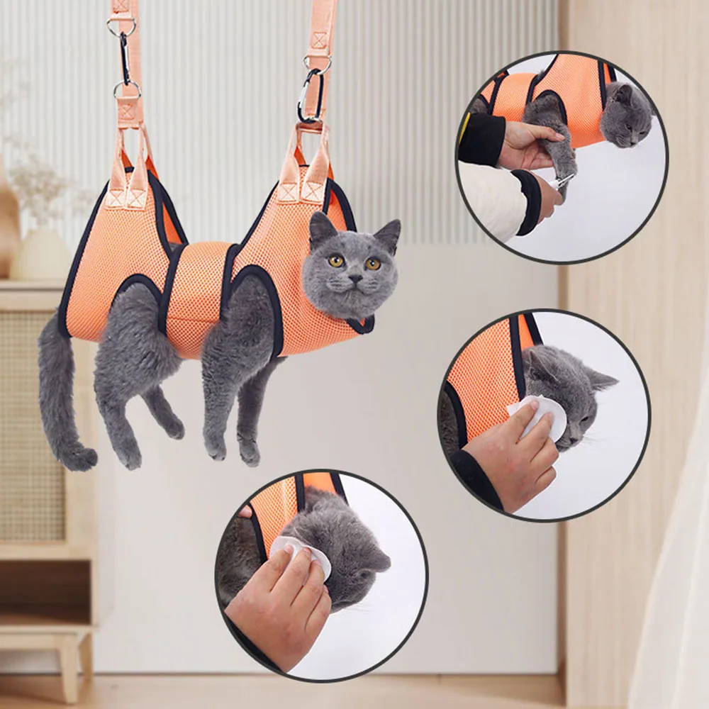 Composite image showing a cat in an orange grooming harness with inset detail shots.