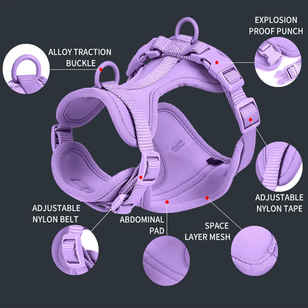 Purple dog harness with feature callouts for buckles and pads.