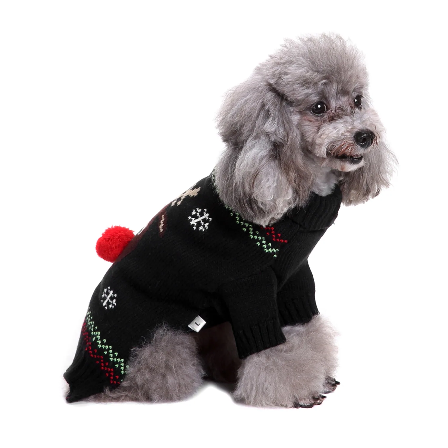 Gray poodle wearing a black knitted Christmas sweater with a red pom-pom tail
