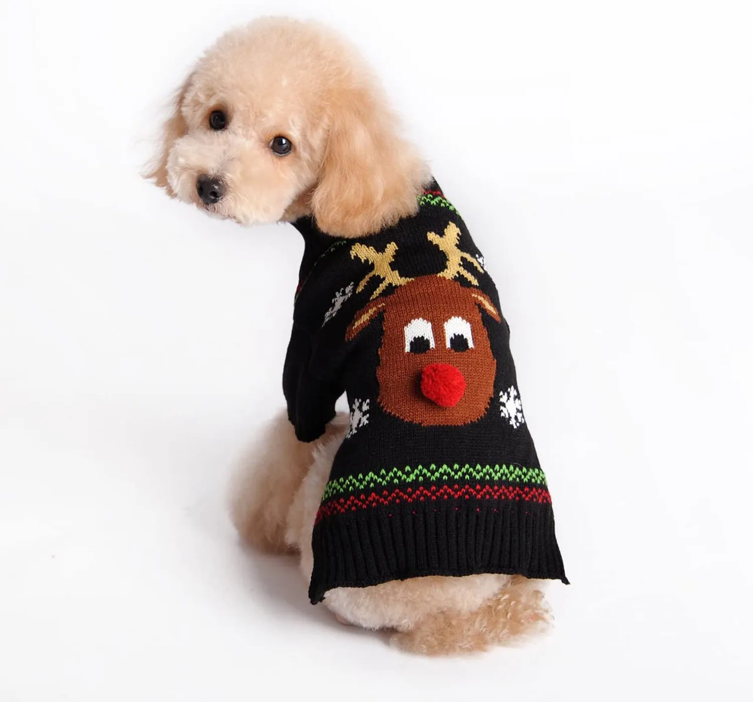 A light brown poodle wearing a black knitted sweater with a reindeer face design.