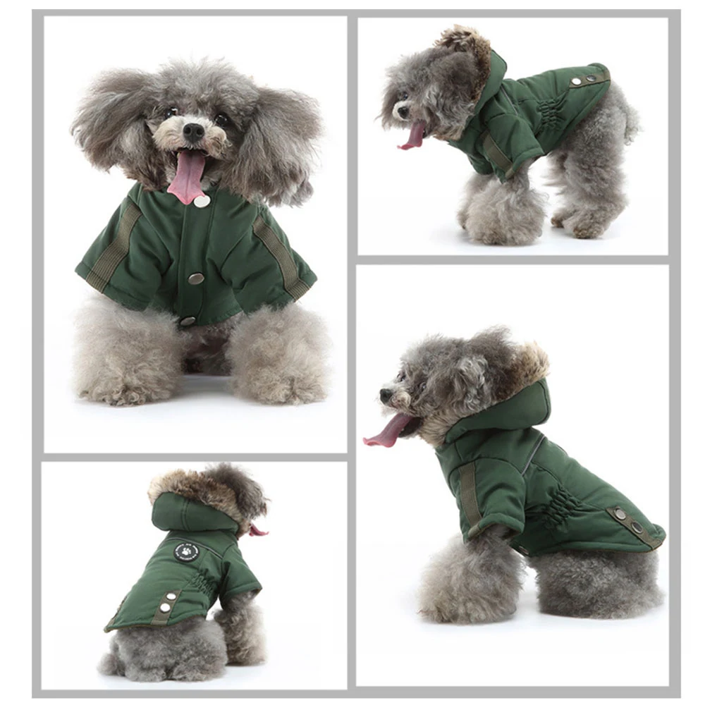 Collage showing four views of a grey poodle wearing a green hooded jacket.