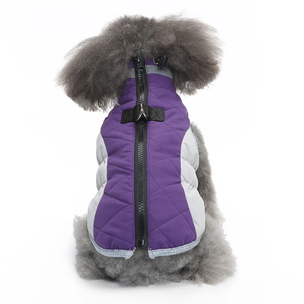 Rear view of a gray poodle wearing a purple and white quilted vest with a zipper and D-ring.