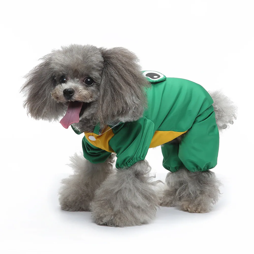 A gray poodle wearing a green and yellow hooded jumpsuit standing on a white background.