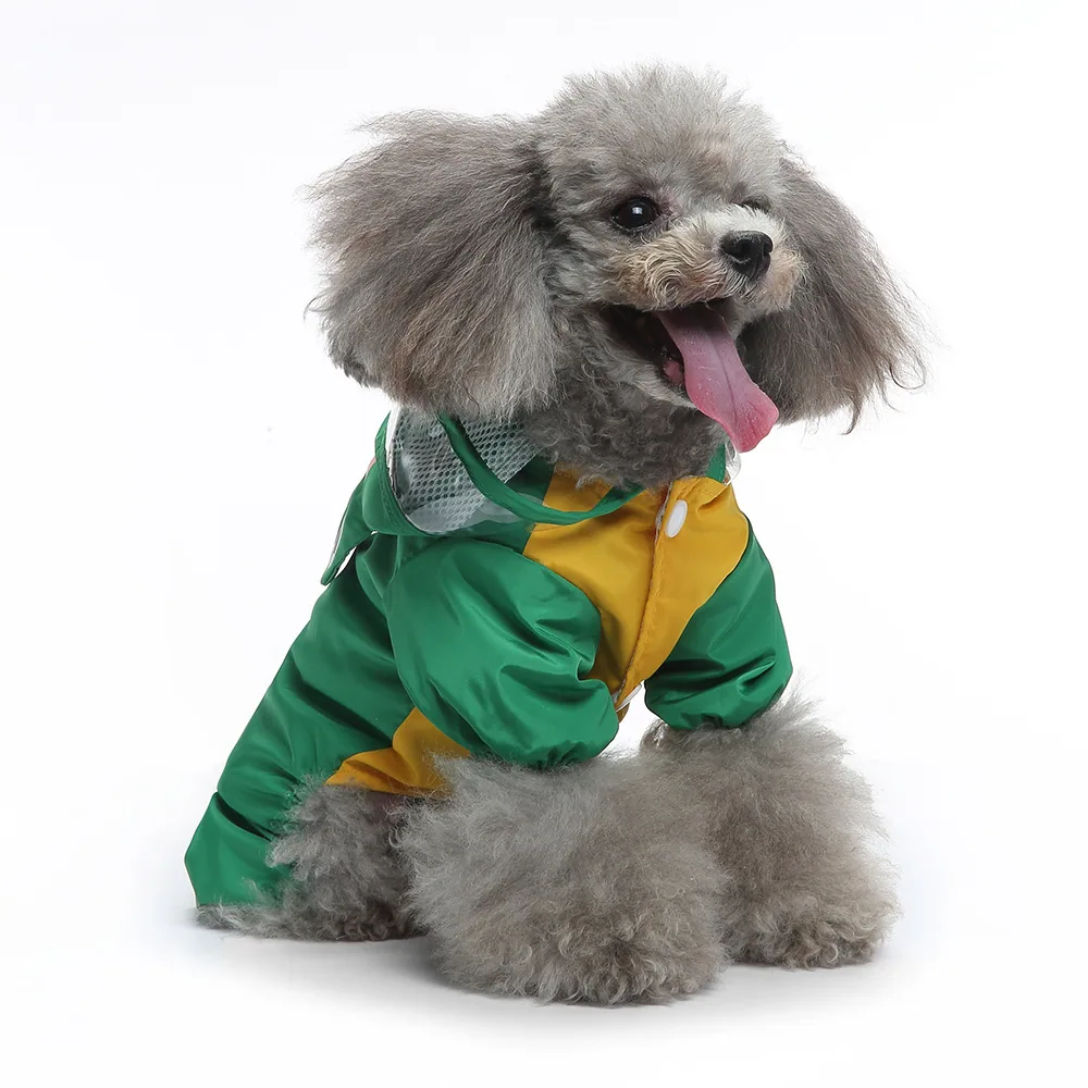 A grey poodle sitting on a white background wearing a green and yellow raincoat.