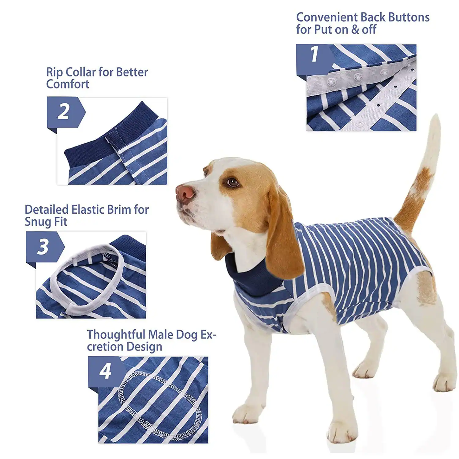 Beagle wearing a blue and white striped dog shirt with feature callouts.