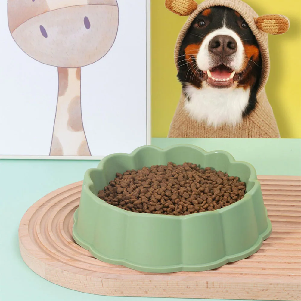 A sage green scalloped bowl filled with kibble sits on a wooden trivet, with a dog in a costume in the background.