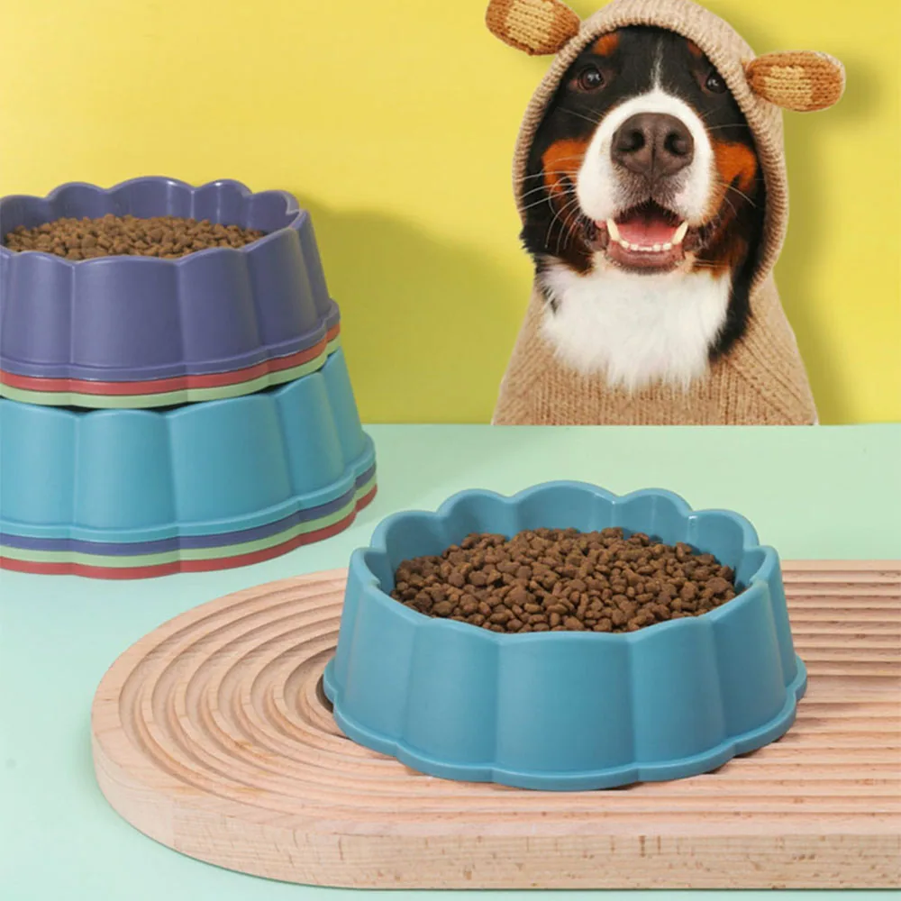 Blue and purple scalloped dog bowls filled with kibble, one on a wooden stand, with a dog in a knitted bear costume in the background.