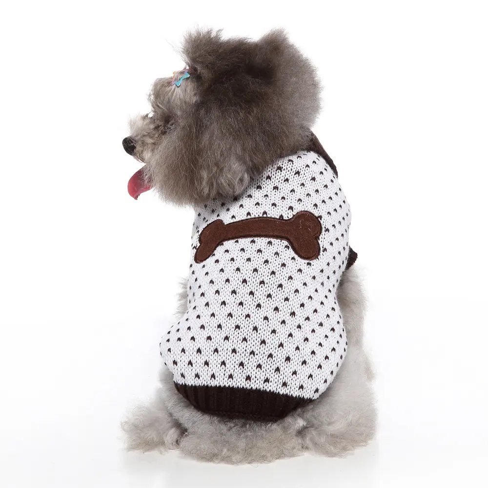 Gray poodle wearing a white knitted dog sweater with a brown bone design on the back
