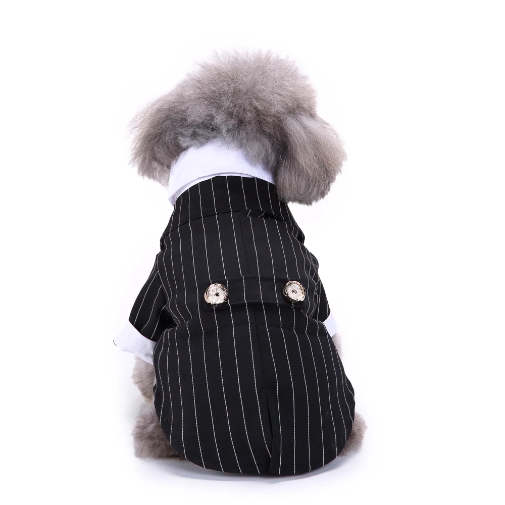 Rear view of a small grey dog wearing a black and white pinstriped suit jacket with large buttons.